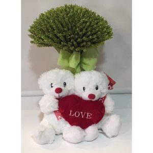 Peluche Doble Corazón