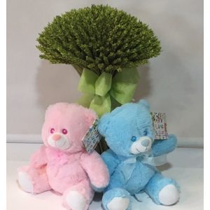 Peluche Oso Rosa o Azul